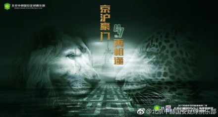 国产精品久久杨幂