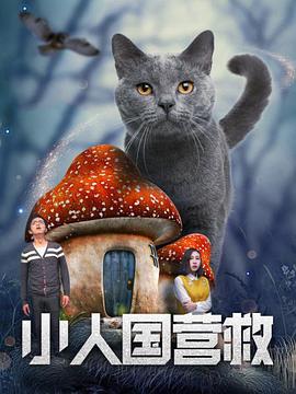 三浦惠理子在线播放