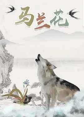 天天操综合