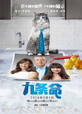 亚洲最大av网