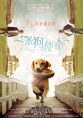 毛片视频电影