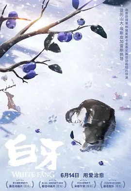 小骚菊