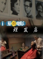 小猫视频大全搞笑可爱