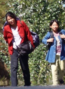 一级片成人