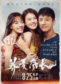 手机在线播放视频