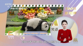 九九午夜